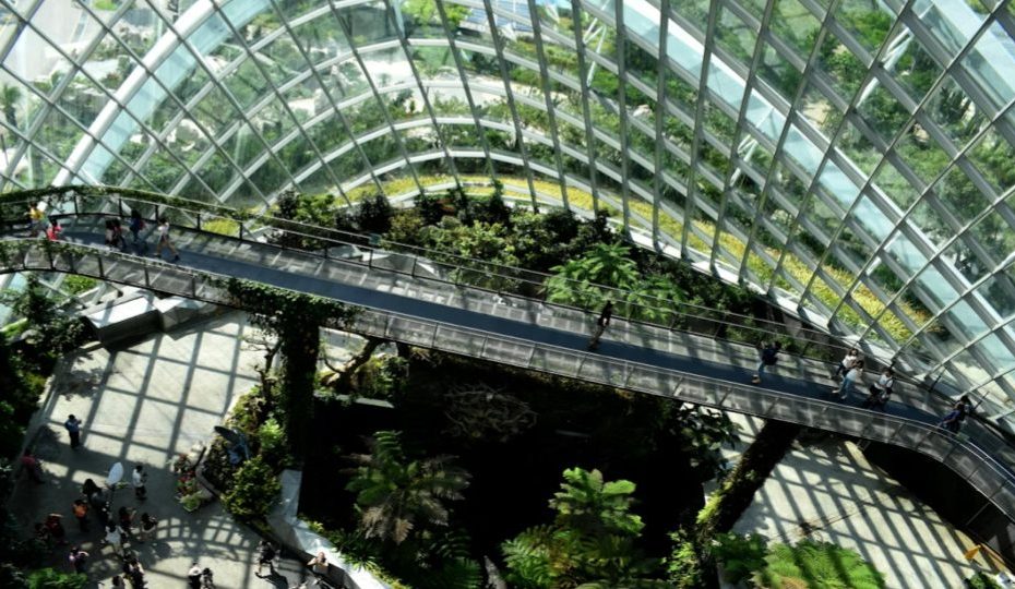 Uma visão panorâmica do interior de uma estrutura arquitetônica monumental, semelhante ao Gardens by the Bay em Singapura.